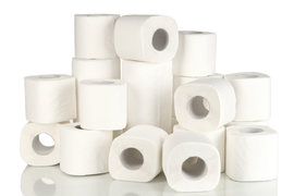 recycled Toilet paper rolls