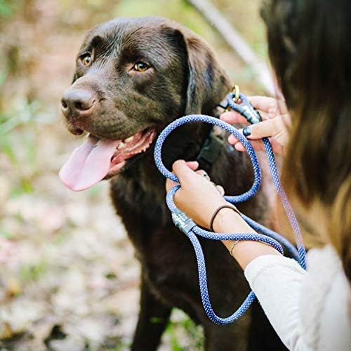 recycled climbing rope dog lead
