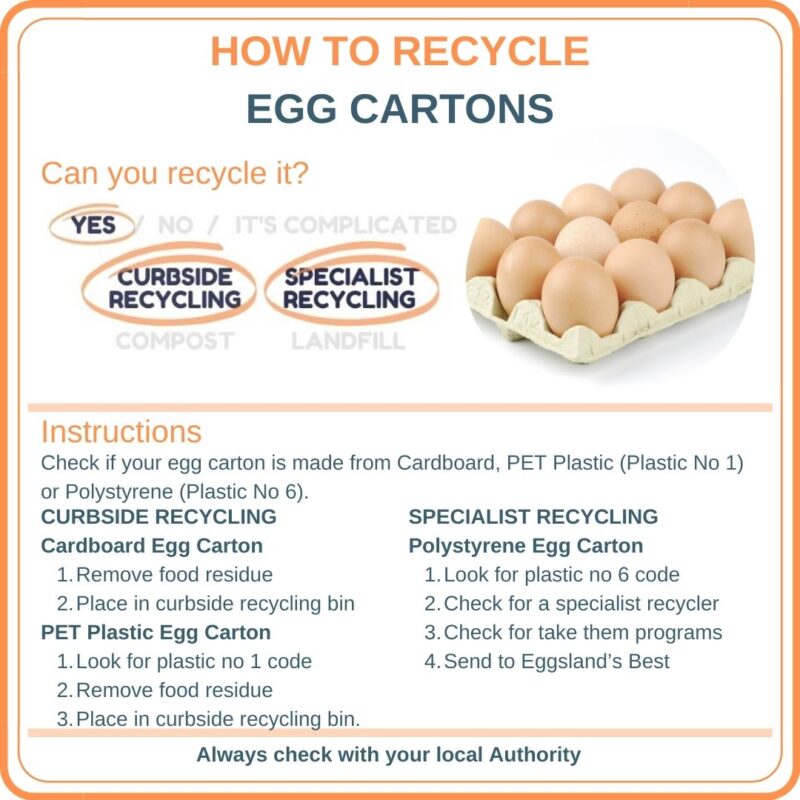 Can You Recycle Egg Cartons Everyday Recycler