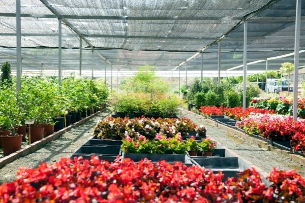 Garden centres that recycle plant pots
