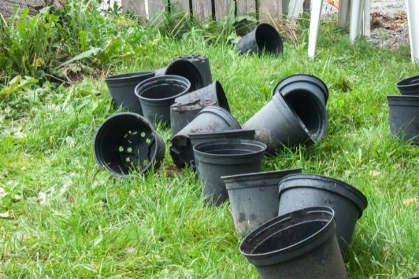 old discarded plant pots