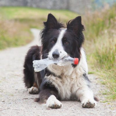 do with bottle for recycling